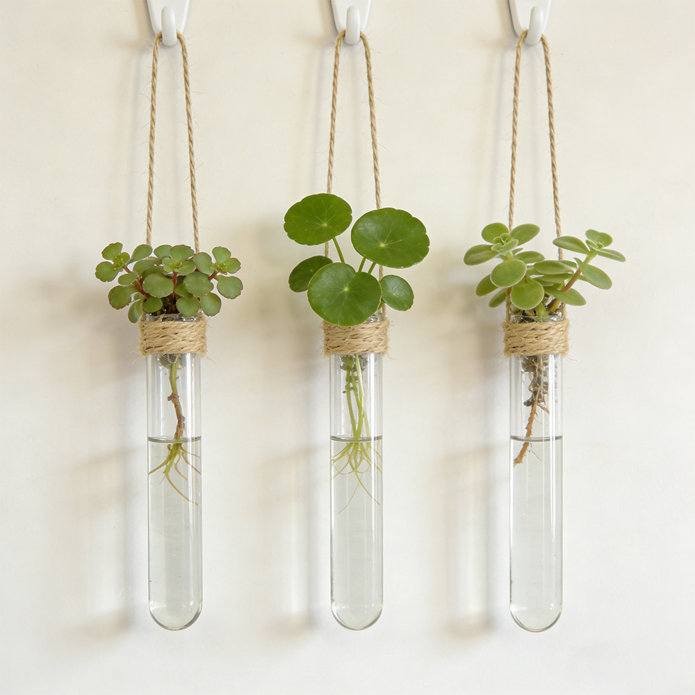 Plant Parent - Hydroponic Flower Vase Wall-Mounted Test-Tube Vase