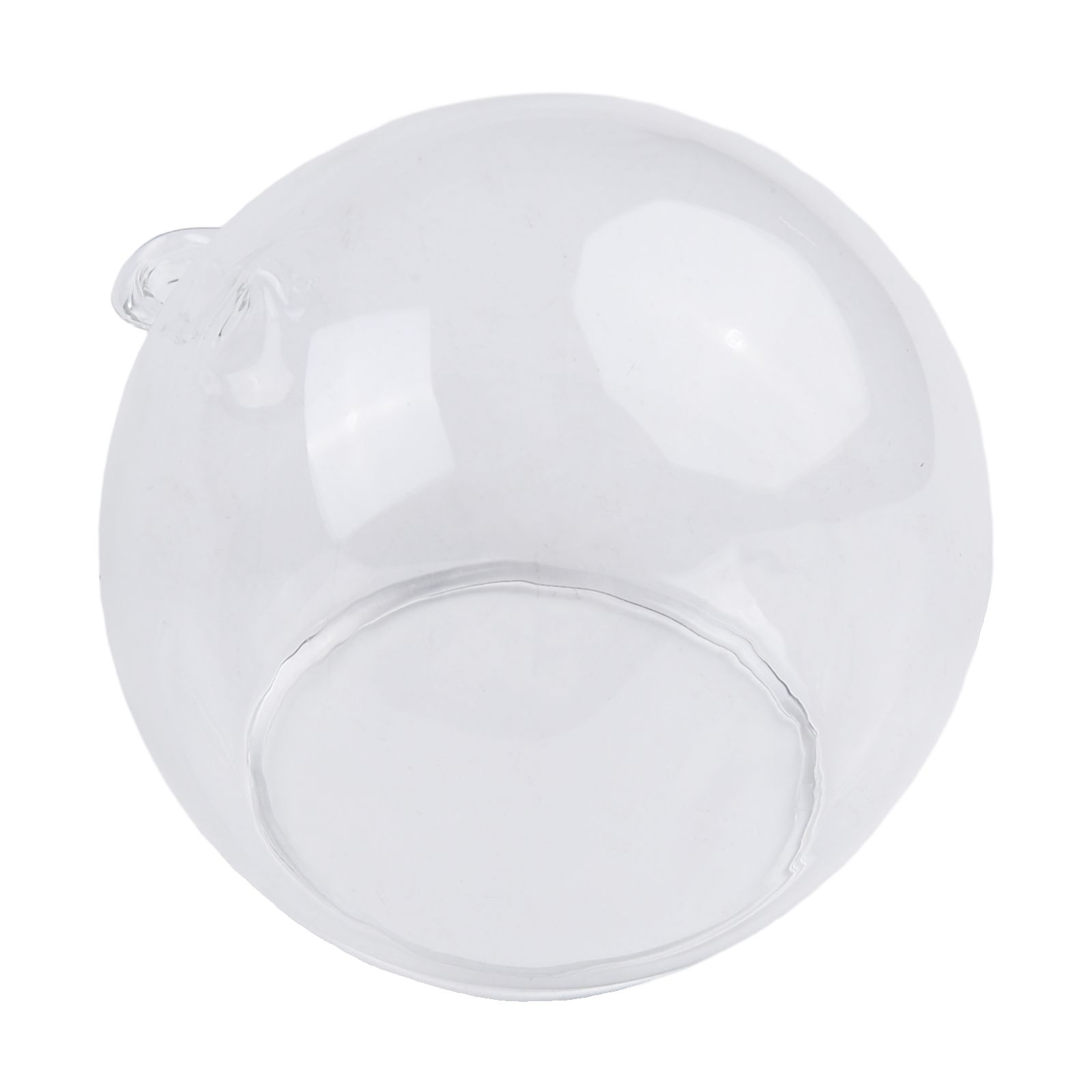 Plant Parent - Clear Glass Hanging Ball Vase for