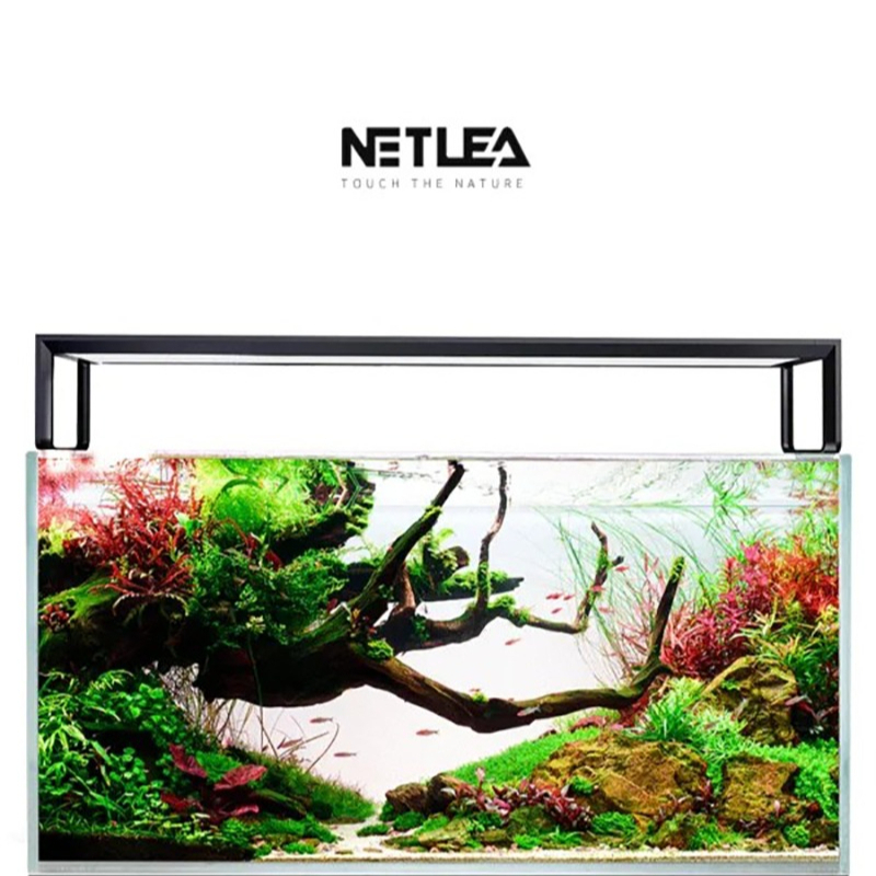 Netlea AT5S V4 Smart Wifi APP  - Plant Parent App ulasan dan harga
