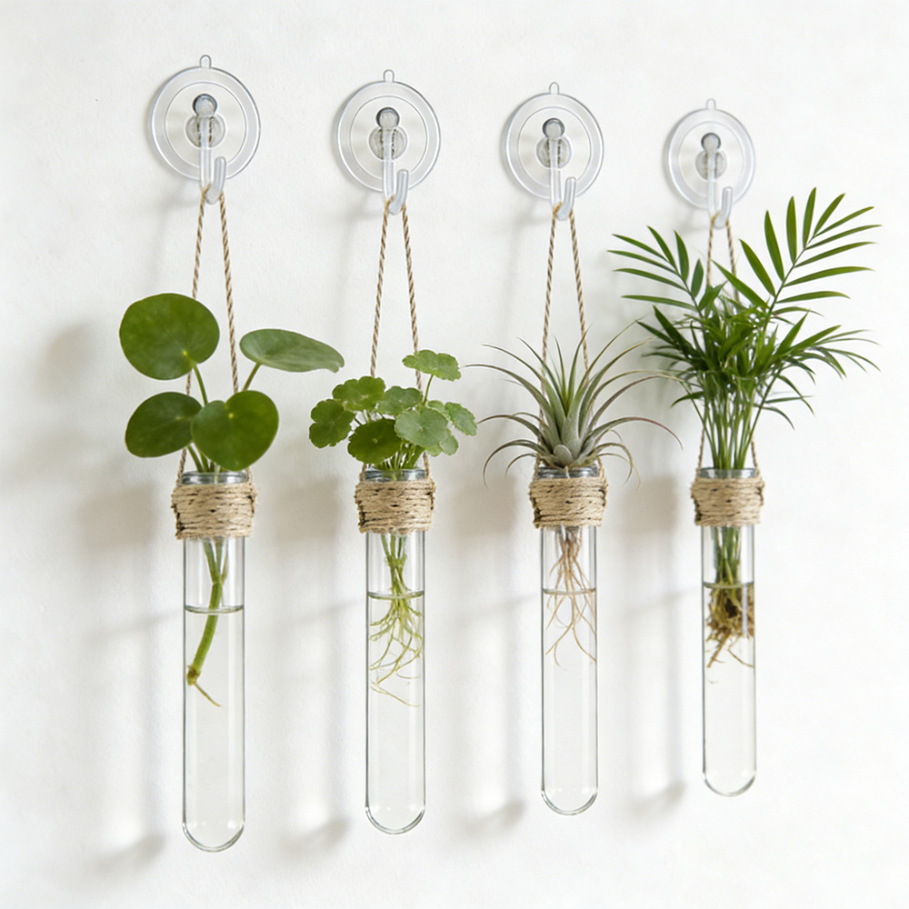 Hydroponic Flower Vase Wall-Mo - Plant Parent ulasan dan harga