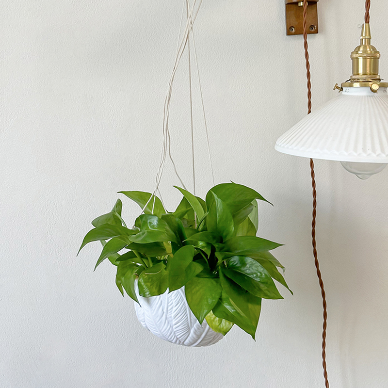 White Textured Resin Wall Hang - Plant Parent ulasan dan harga
