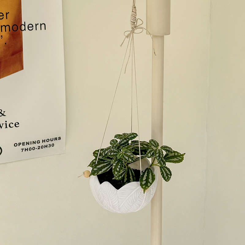 White Textured Resin Wall Hang - Plant Parent ulasan dan harga