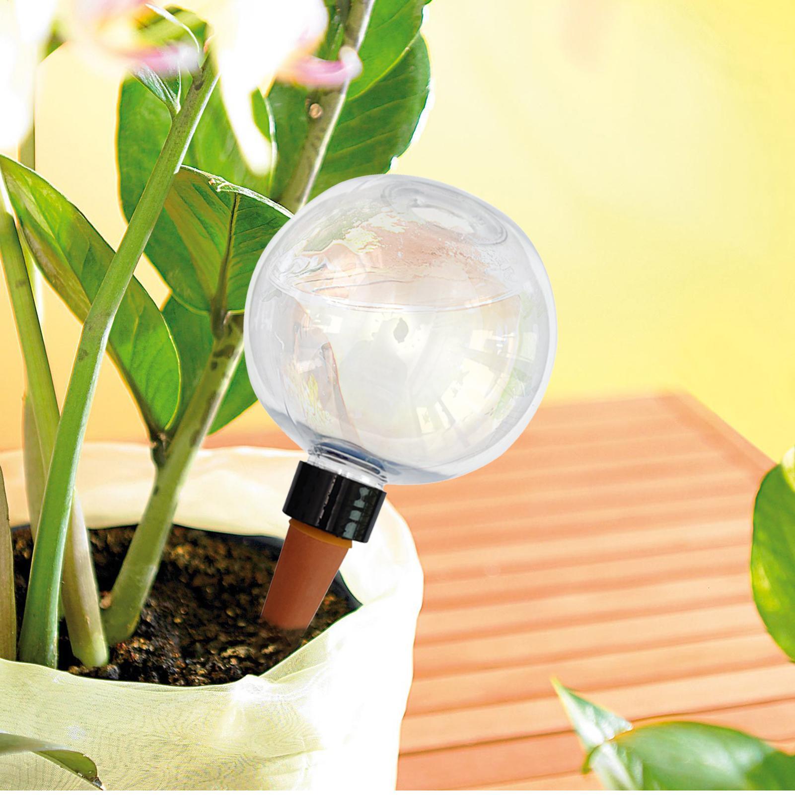 500ml Automatic Plant Watering - Plant Parent ulasan dan harga